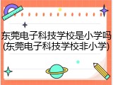 东莞电子科技学校是小学吗(东莞电子科技学校非小学)