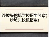 沙坡头挖机学校招生简章(沙坡头挖机招生)
