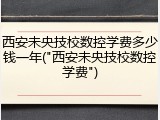 西安未央技校数控学费多少钱一年("西安未央技校数控学费")