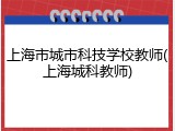上海市城市科技学校教师(上海城科教师)