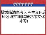 聊城临清高考艺考生文化课补习班推荐(临清艺考文化补习)