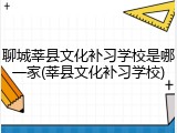 聊城莘县文化补习学校是哪一家(莘县文化补习学校)