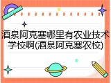 酒泉阿克塞哪里有农业技术学校啊(酒泉阿克塞农校)