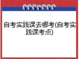 自考实践课去哪考(自考实践课考点)