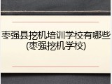 枣强县挖机培训学校有哪些(枣强挖机学校)