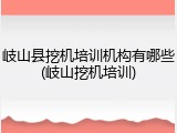 岐山县挖机培训机构有哪些(岐山挖机培训)