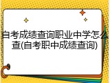 自考成绩查询职业中学怎么查(自考职中成绩查询)