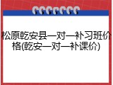 松原乾安县一对一补习班价格(乾安一对一补课价)