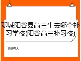 聊城阳谷县高三生去哪个补习学校(阳谷高三补习校)