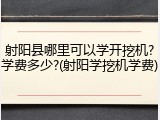 射阳县哪里可以学开挖机?学费多少?(射阳学挖机学费)