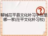 聊城茌平县文化补习学校是哪一家(茌平文化补习校)