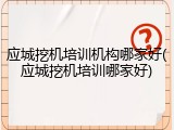 应城挖机培训机构哪家好(应城挖机培训哪家好)