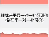 聊城茌平县一对一补习班价格(茌平一对一补习价)