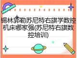 锡林郭勒苏尼特右旗学数控机床哪家强(苏尼特右旗数控培训)