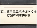 凉山德昌县单招培训学校推荐(德昌单招培训)
