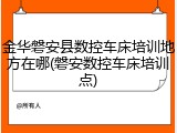 金华磐安县数控车床培训地方在哪(磐安数控车床培训点)