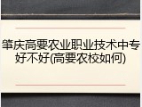肇庆高要农业职业技术中专好不好(高要农校如何)