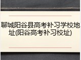 聊城阳谷县高考补习学校地址(阳谷高考补习校址)