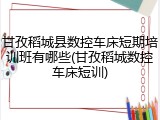 甘孜稻城县数控车床短期培训班有哪些(甘孜稻城数控车床短训)