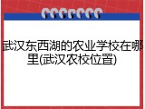 武汉东西湖的农业学校在哪里(武汉农校位置)