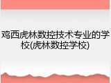鸡西虎林数控技术专业的学校(虎林数控学校)