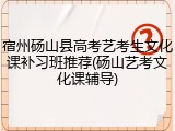 宿州砀山县高考艺考生文化课补习班推荐(砀山艺考文化课辅导)