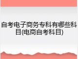 自考电子商务专科有哪些科目(电商自考科目)