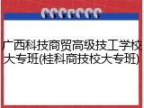 广西科技商贸高级技工学校大专班(桂科商技校大专班)