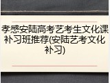 孝感安陆高考艺考生文化课补习班推荐(安陆艺考文化补习)