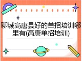 聊城高唐县好的单招培训哪里有(高唐单招培训)
