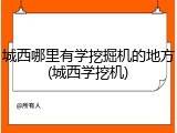 城西哪里有学挖掘机的地方(城西学挖机)