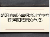 朝阳喀喇沁单招培训学校推荐(朝阳喀喇沁单招)