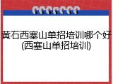 黄石西塞山单招培训哪个好(西塞山单招培训)
