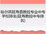 哈尔滨延寿县数控专业中专学校排名(延寿数控中专排名)