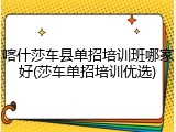 喀什莎车县单招培训班哪家好(莎车单招培训优选)