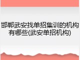 邯郸武安找单招集训的机构有哪些(武安单招机构)