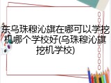 东乌珠穆沁旗在哪可以学挖机哪个学校好(乌珠穆沁旗挖机学校)