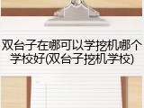 双台子在哪可以学挖机哪个学校好(双台子挖机学校)