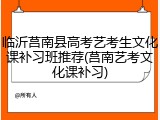 临沂莒南县高考艺考生文化课补习班推荐(莒南艺考文化课补习)