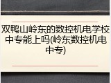 双鸭山岭东的数控机电学校中专能上吗(岭东数控机电中专)