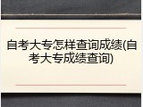 自考大专怎样查询成绩(自考大专成绩查询)