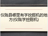 仪陇县哪里有学挖掘机的地方(仪陇学挖掘机)