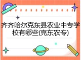 齐齐哈尔克东县农业中专学校有哪些(克东农专)