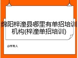 绵阳梓潼县哪里有单招培训机构(梓潼单招培训)