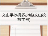 文山学挖机多少钱(文山挖机学费)
