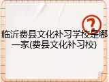 临沂费县文化补习学校是哪一家(费县文化补习校)