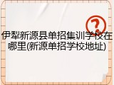 伊犁新源县单招集训学校在哪里(新源单招学校地址)