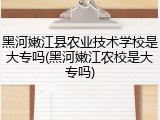 黑河嫩江县农业技术学校是大专吗(黑河嫩江农校是大专吗)