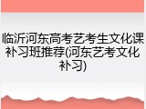临沂河东高考艺考生文化课补习班推荐(河东艺考文化补习)