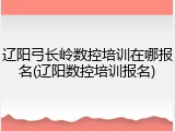 辽阳弓长岭数控培训在哪报名(辽阳数控培训报名)